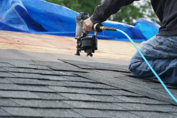 Best Roof Gutter Cleaning  in Middletown, VA