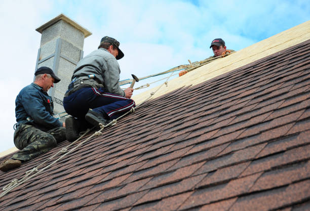 Best Emergency Roof Repair  in Middletown, VA